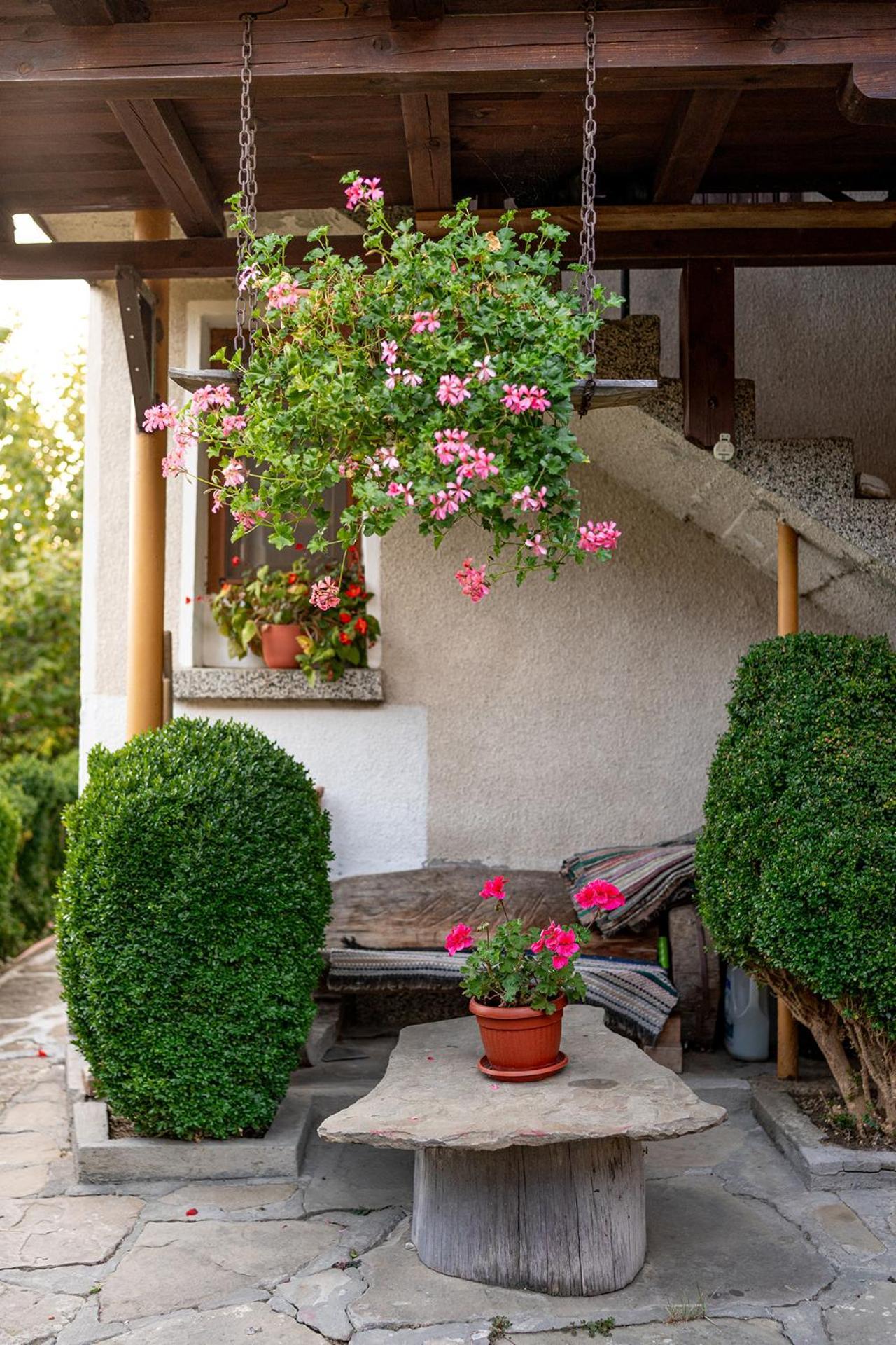 Kandaphery Guest Houses Miykovtsi Exterior photo