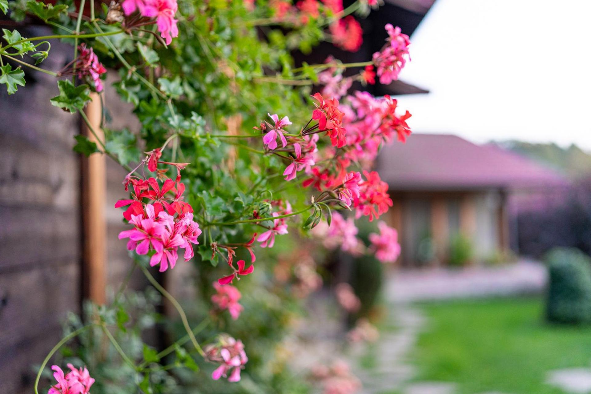 Kandaphery Guest Houses Miykovtsi Exterior photo
