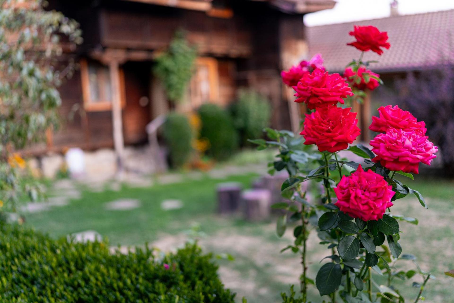 Kandaphery Guest Houses Miykovtsi Exterior photo
